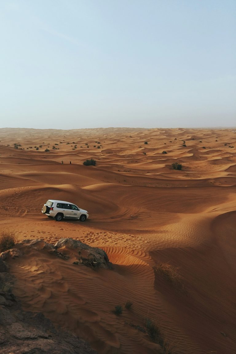 MUSANDAM TOUR WORTH EACH MILLION